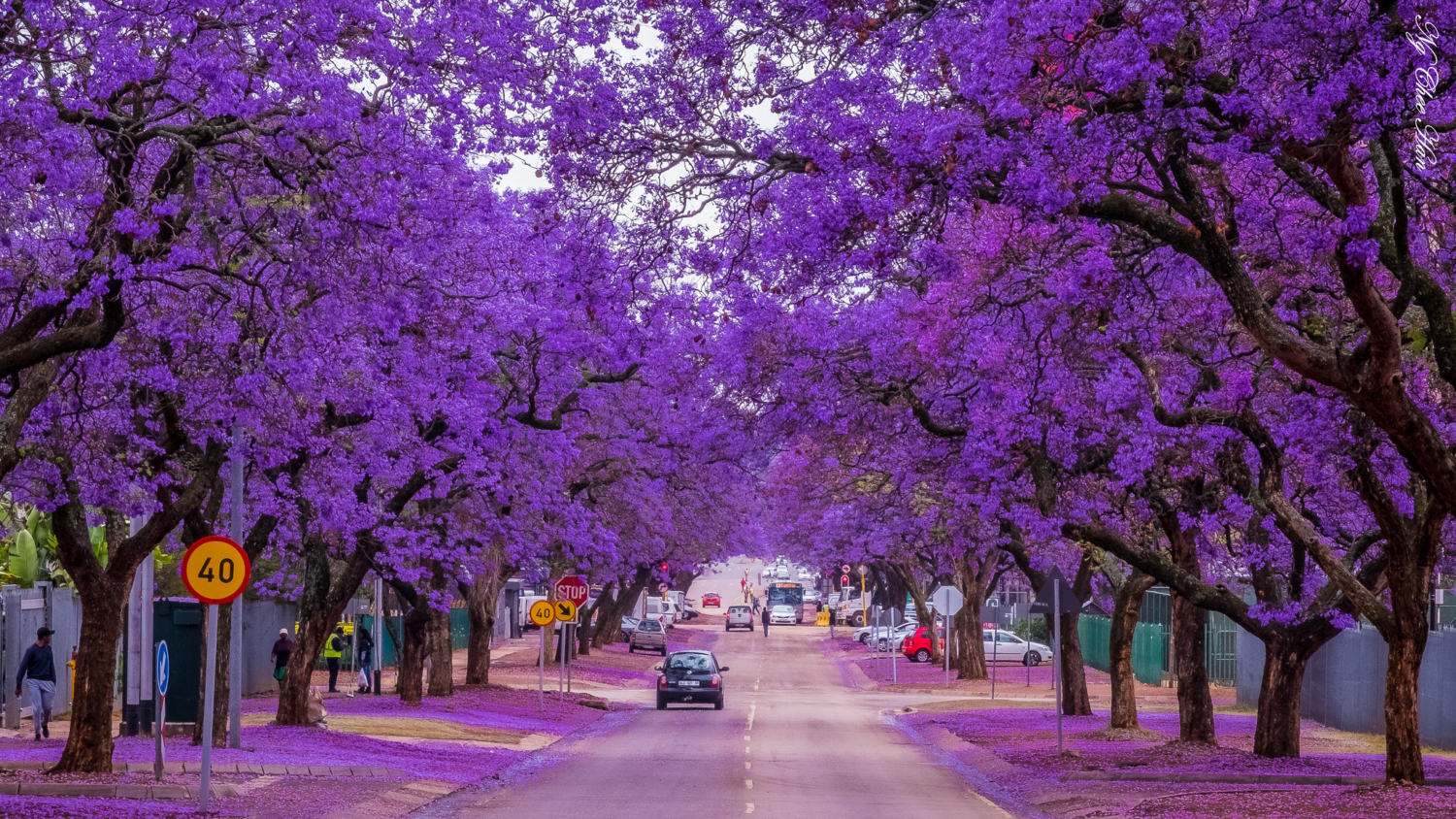 PRETORIA TOURS