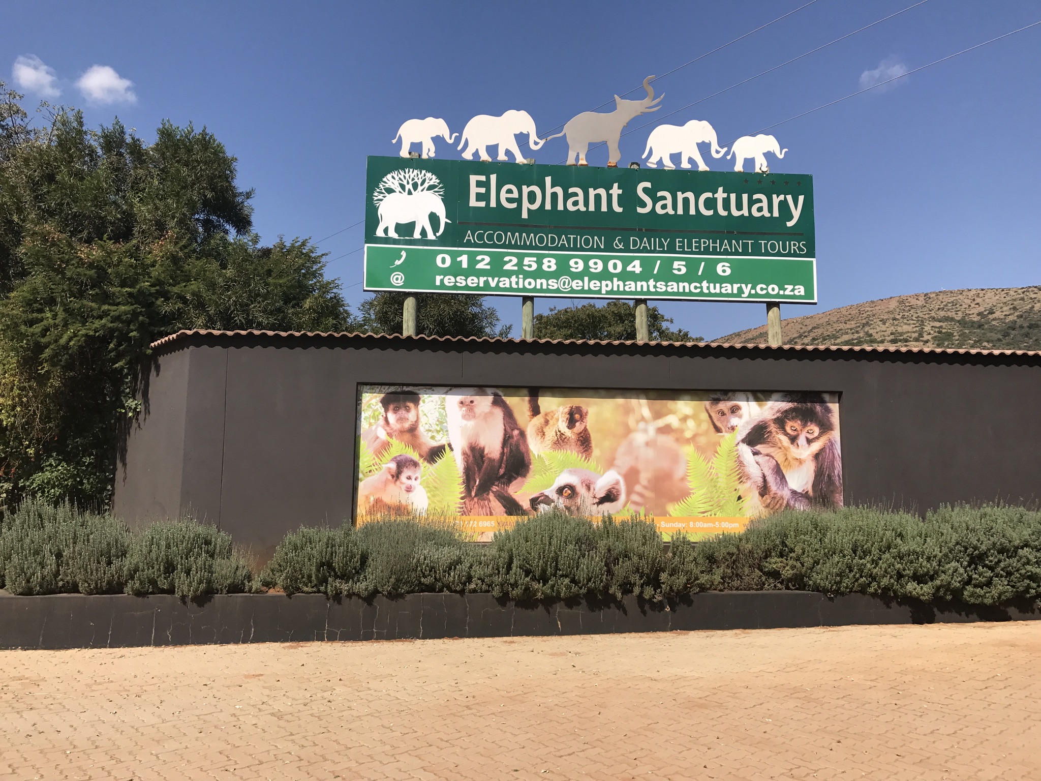 THE ELEPHANT SANTUARY HARTEES